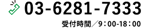 03-6281-7333